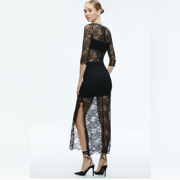 Alice & Olivia BNWT VANITA EMBELLISHED Neck Black Lace Crop Top, XL, $465! - Picture 3 of 7